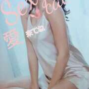 ヒメ日記 2025/09/11 12:44 投稿 愛 セクシーキャット 小田原店