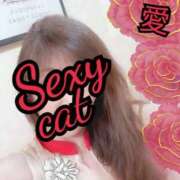 ヒメ日記 2025/09/14 22:08 投稿 愛 セクシーキャット 小田原店