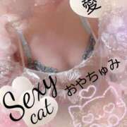 ヒメ日記 2025/09/23 22:01 投稿 愛 セクシーキャット 小田原店