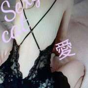 ヒメ日記 2025/09/26 22:13 投稿 愛 セクシーキャット 小田原店
