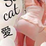 ヒメ日記 2025/10/04 14:14 投稿 愛 セクシーキャット 小田原店