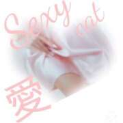 ヒメ日記 2025/10/09 10:45 投稿 愛 セクシーキャット 小田原店