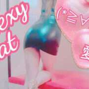 ヒメ日記 2025/10/11 13:59 投稿 愛 セクシーキャット 小田原店