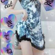 ヒメ日記 2025/10/14 15:18 投稿 愛 セクシーキャット 小田原店