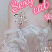 ヒメ日記 2025/10/16 11:51 投稿 愛 セクシーキャット 小田原店