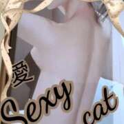 ヒメ日記 2025/10/16 21:10 投稿 愛 セクシーキャット 小田原店