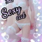 ヒメ日記 2025/10/18 13:35 投稿 愛 セクシーキャット 小田原店