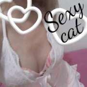 ヒメ日記 2025/10/31 14:52 投稿 愛 セクシーキャット 小田原店