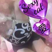 ヒメ日記 2025/11/11 13:38 投稿 愛 セクシーキャット 小田原店