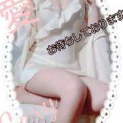 ヒメ日記 2025/11/17 11:55 投稿 愛 セクシーキャット 小田原店