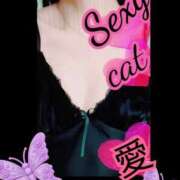 ヒメ日記 2025/11/25 22:39 投稿 愛 セクシーキャット 小田原店