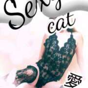 ヒメ日記 2025/11/26 22:38 投稿 愛 セクシーキャット 小田原店