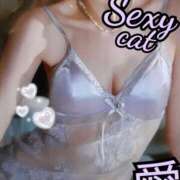 ヒメ日記 2025/11/27 17:54 投稿 愛 セクシーキャット 小田原店