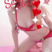 ヒメ日記 2025/11/28 11:11 投稿 愛 セクシーキャット 小田原店