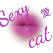 ヒメ日記 2025/12/06 13:39 投稿 愛 セクシーキャット 小田原店