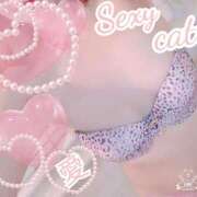 ヒメ日記 2025/12/10 15:24 投稿 愛 セクシーキャット 小田原店