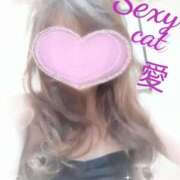 ヒメ日記 2025/12/16 14:57 投稿 愛 セクシーキャット 小田原店