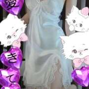 ヒメ日記 2025/12/19 10:44 投稿 愛 セクシーキャット 小田原店