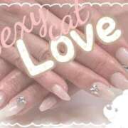 ヒメ日記 2026/01/15 08:21 投稿 愛 セクシーキャット 小田原店