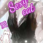 ヒメ日記 2026/01/19 11:32 投稿 愛 セクシーキャット 小田原店