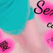 ヒメ日記 2026/01/22 11:04 投稿 愛 セクシーキャット 小田原店