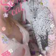 ヒメ日記 2026/01/23 21:45 投稿 愛 セクシーキャット 小田原店