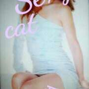 ヒメ日記 2026/02/07 10:45 投稿 愛 セクシーキャット 小田原店