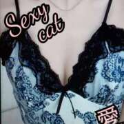 ヒメ日記 2026/02/11 09:27 投稿 愛 セクシーキャット 小田原店