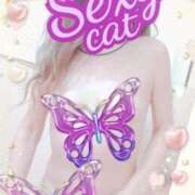 ヒメ日記 2026/02/15 13:19 投稿 愛 セクシーキャット 小田原店