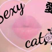 ヒメ日記 2026/02/16 06:34 投稿 愛 セクシーキャット 小田原店