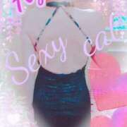 ヒメ日記 2026/02/21 09:58 投稿 愛 セクシーキャット 小田原店