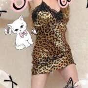 ヒメ日記 2026/02/23 11:50 投稿 愛 セクシーキャット 小田原店