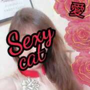 ヒメ日記 2026/02/24 21:12 投稿 愛 セクシーキャット 小田原店