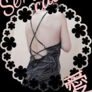 ヒメ日記 2026/02/25 22:14 投稿 愛 セクシーキャット 小田原店