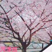 ヒメ日記 2026/02/27 09:44 投稿 愛 セクシーキャット 小田原店