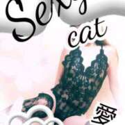 ヒメ日記 2026/03/12 12:04 投稿 愛 セクシーキャット 小田原店