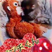 ヒメ日記 2026/03/24 10:29 投稿 愛 セクシーキャット 小田原店