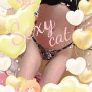 ヒメ日記 2026/03/25 16:42 投稿 愛 セクシーキャット 小田原店