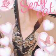 ヒメ日記 2026/04/02 21:50 投稿 愛 セクシーキャット 小田原店