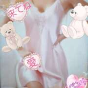 ヒメ日記 2026/04/05 13:42 投稿 愛 セクシーキャット 小田原店