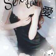 ヒメ日記 2026/04/06 12:42 投稿 愛 セクシーキャット 小田原店