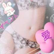 ヒメ日記 2026/04/14 10:13 投稿 愛 セクシーキャット 小田原店