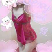 ヒメ日記 2026/04/15 13:30 投稿 愛 セクシーキャット 小田原店