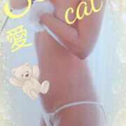 ヒメ日記 2026/04/18 13:55 投稿 愛 セクシーキャット 小田原店