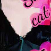 愛 おやすみなさい💤 セクシーキャット 小田原店