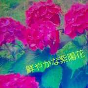 ヒメ日記 2026/06/20 08:15 投稿 愛 セクシーキャット 小田原店