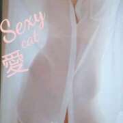 ヒメ日記 2026/07/14 13:34 投稿 愛 セクシーキャット 小田原店