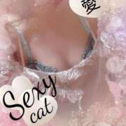 ヒメ日記 2026/10/12 11:56 投稿 愛 セクシーキャット 小田原店