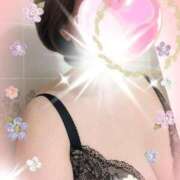 ヒメ日記 2024/12/22 09:51 投稿 千草 セクシーキャット 小田原店