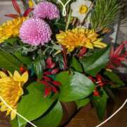 ヒメ日記 2025/01/04 16:52 投稿 千草 セクシーキャット 小田原店